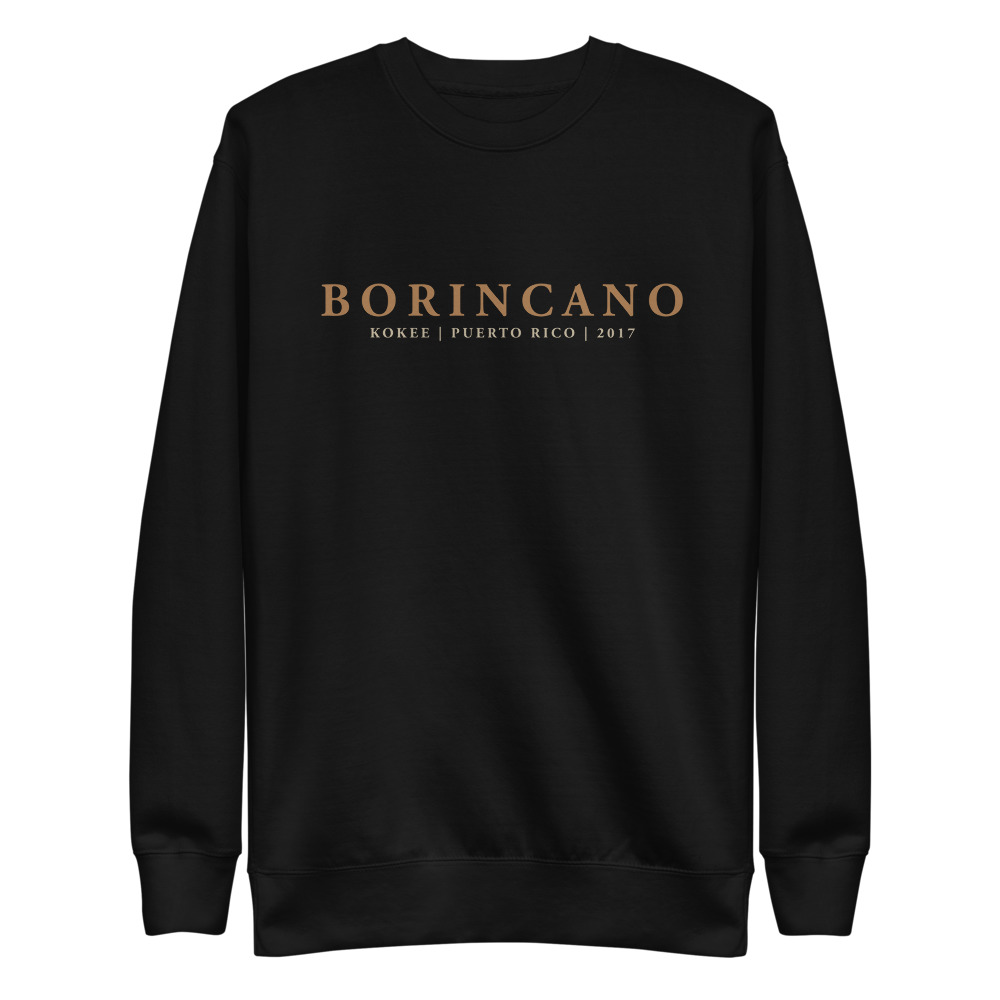 unisex-fleece-pullover-black-front-6165e40bc50f1.jpg