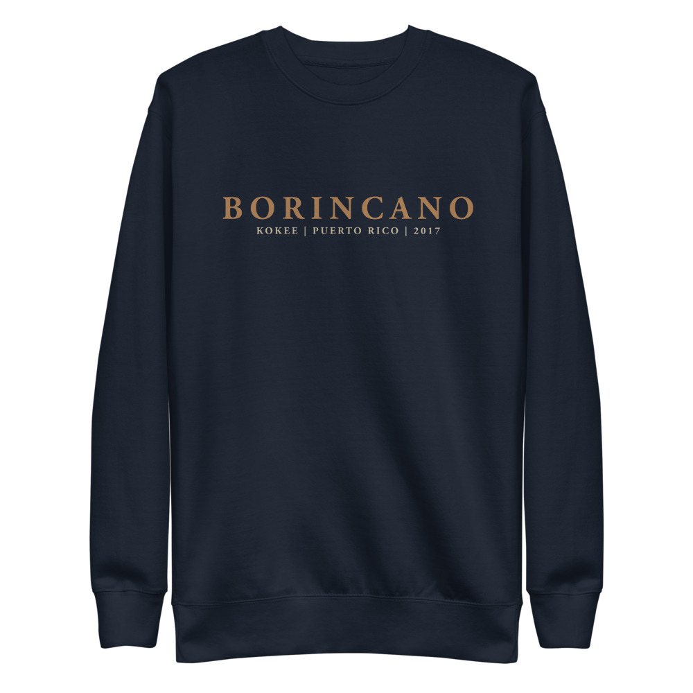 unisex-fleece-pullover-navy-blazer-front-6165e40bc527a.jpg