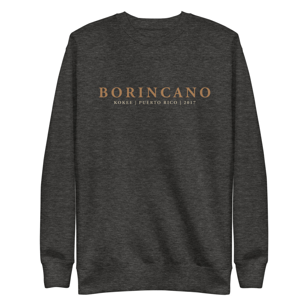 unisex-fleece-pullover-charcoal-heather-front-6165e40bc5497.jpg