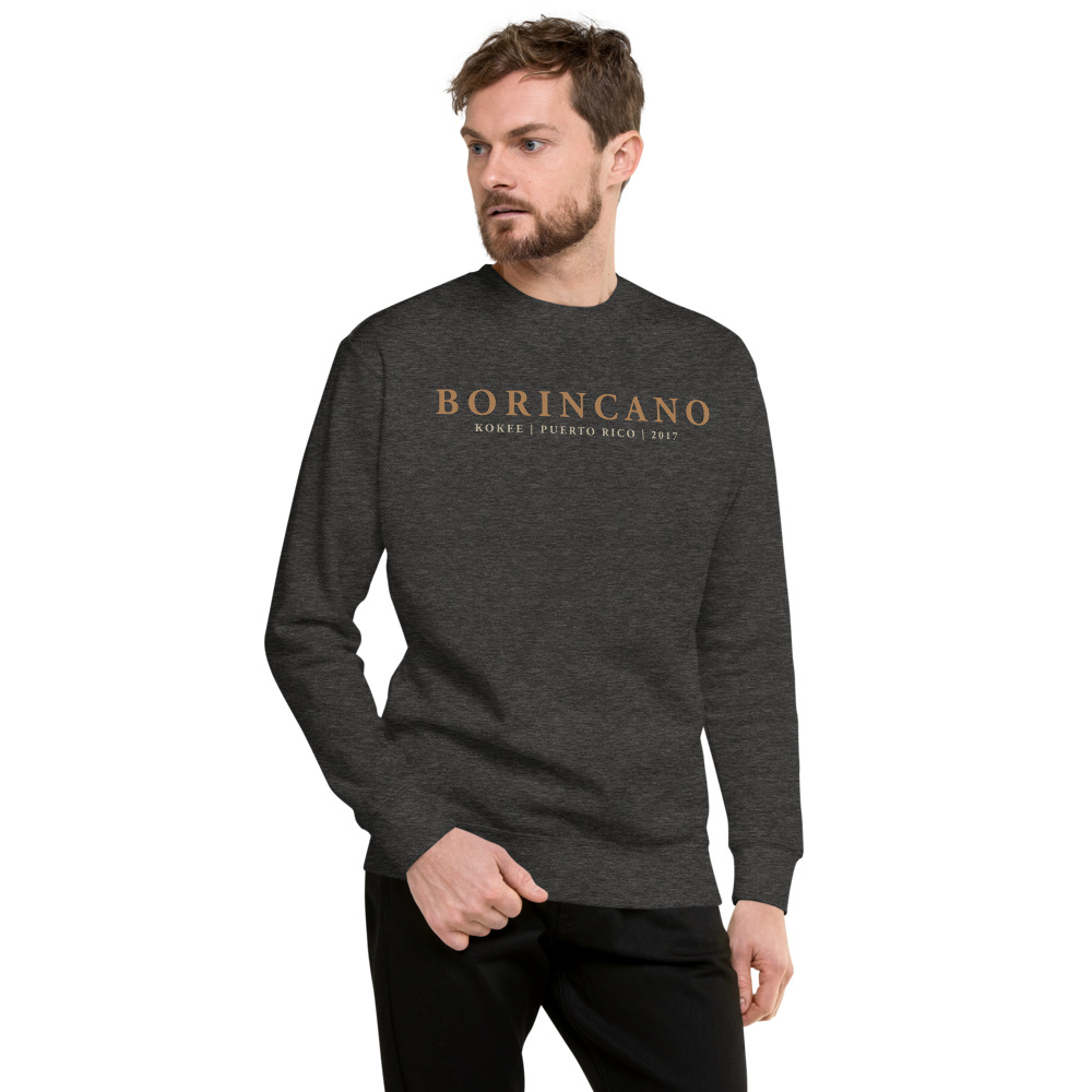 unisex-fleece-pullover-charcoal-heather-front-6165e825a11af