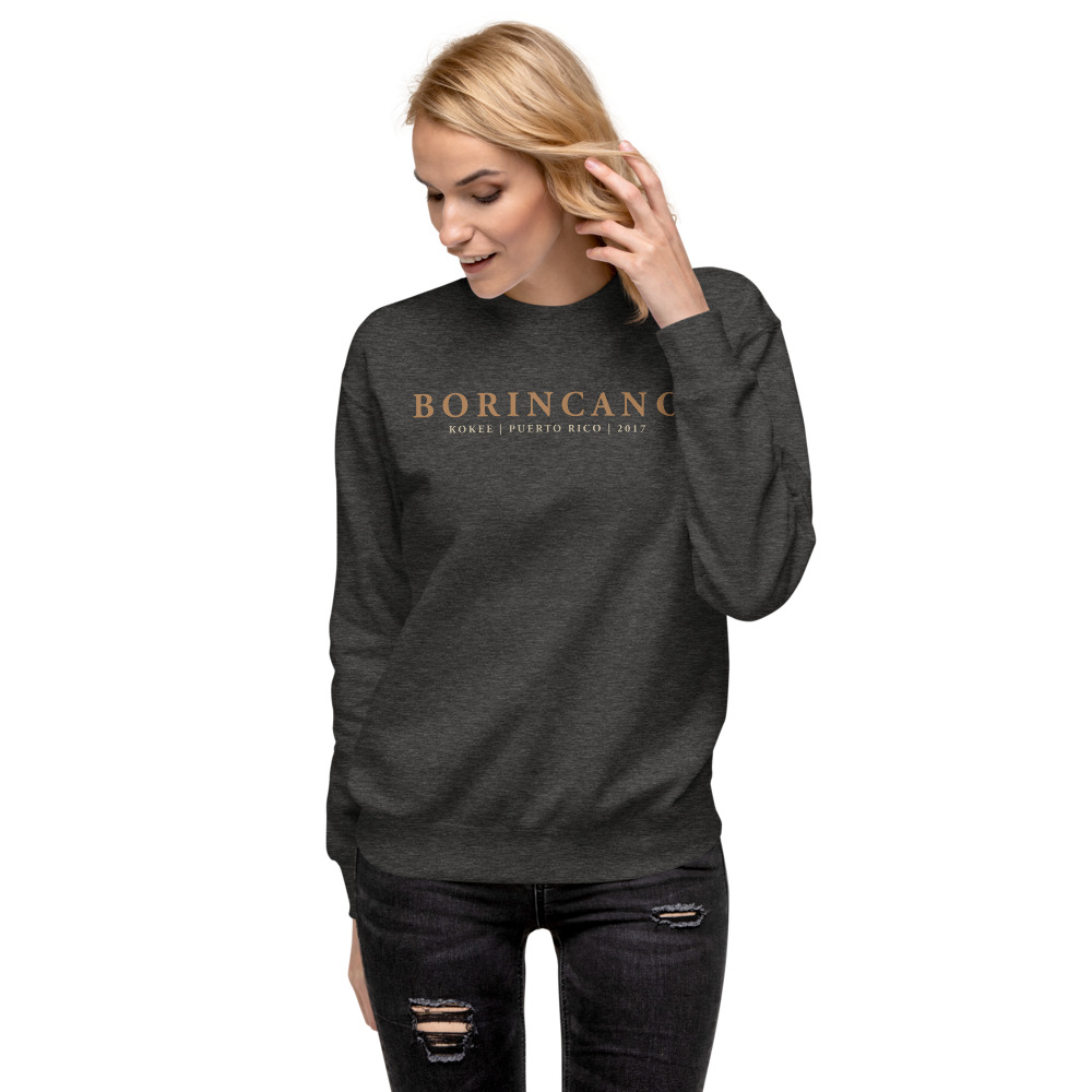 unisex-fleece-pullover-charcoal-heather-front-6165e825a135b